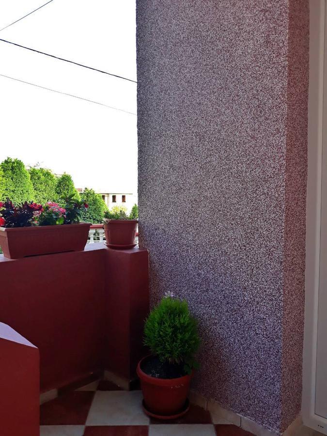 Alvanita Apartments Ulcinj Exterior photo